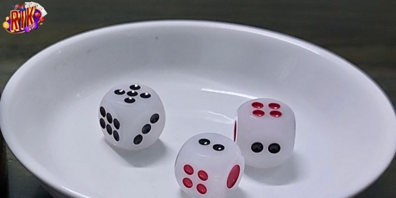 Tổng quan về game tài xỉu xí ngầu